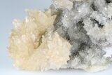Scalenohedral Calcite Crystal Cluster - Cocineras Mine, Mexico #183724-2